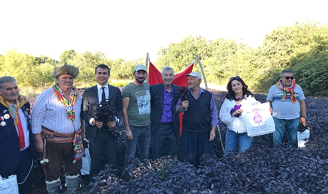 Arapgir’de Bu Yıl 25’ncisi Düzenlenen Bağbozumu Ve Mor Reyhan Hasat Şenlikleri Dolu Dolu Geçti