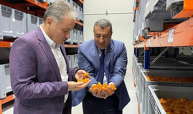 Çakır: 8 Ayda 39 Bin Ton Kayısı İhraç Edildi, 207 Milyon Dolar Gelir Sağlandı