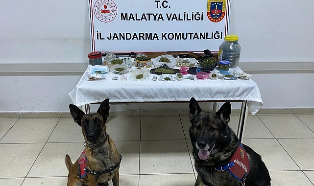 Huzur Operasyonları Devam Ediyor