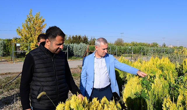“11 Kasım’da Beylerderesi Şehir Parkımızın Dördüncü Etabında Ağaçlandırma Etkinliği Düzenleyeceğiz”