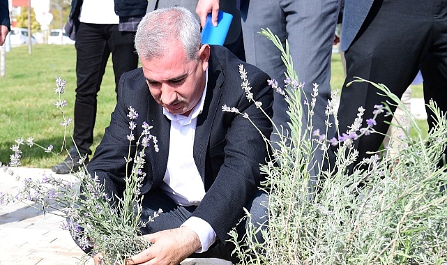 “Sosyal Yaşam Alanlarımızla Şehrimizin Yeniden İnşasına Katkı Sunuyoruz