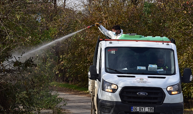 Haşere Üreme Alanlarında Ve Konteyner Kentlerde İlaçlama Yapılıyor
