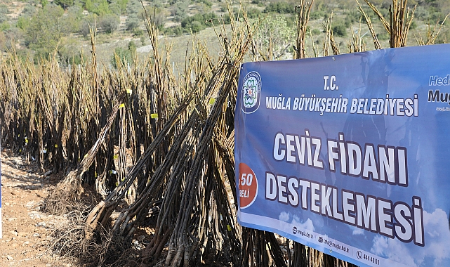 Büyükşehirden Her Kapıda Bir Fidan Projesi