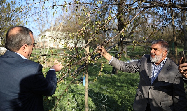 İl Başkanı Bakan: “Devletimiz, Zirai Don Olayından Etkilenen Çiftçilerimizin Yanında”