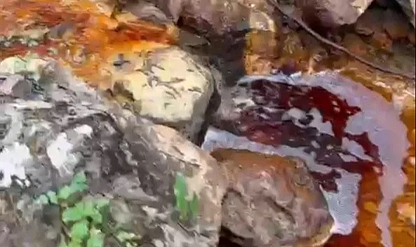 Güzelyurt’ta Dere Kan Rengi Akıyor