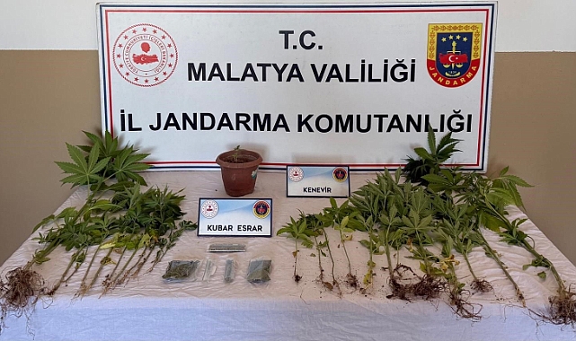 Jandarma Tarafından Narkotik Operasyonu Gerçekleşti