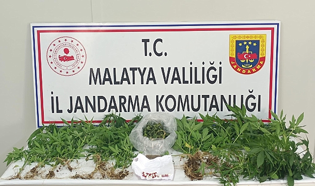 Narkotik Suçlarla Mücadele Kesintisiz Devam Ediyor