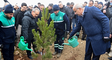 Beydağı’nda Yüz Binlerce Tohum Ve Fidan Toprakla Buluşuyor