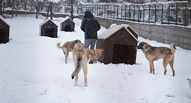 Battalgazi’de Malatya’nın İkinci Hayvan Barınağı Hizmete Başladı