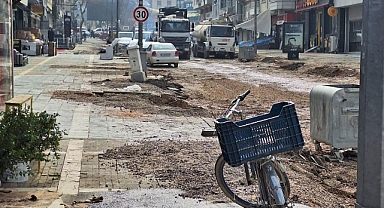 Fuzuli Caddesi’nde Gece Operasyonu: Asırlık Çınarlar Söktürüldü