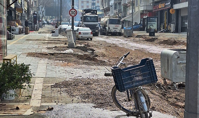 Fuzuli Caddesi’nde Gece Operasyonu: Asırlık Çınarlar Söktürüldü