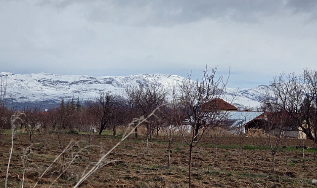 Malatya’ya Kış Geri Döndü: Beydağı Beyaza Büründü, Kayısı Üreticisi Tedirgin