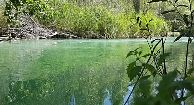 Tohma Çayı’nın Ekolojik Sağlığı Bilimsel Olarak Ortaya Kondu