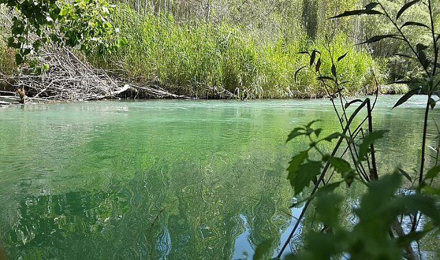 Tohma Çayı’nın Ekolojik Sağlığı Bilimsel Olarak Ortaya Kondu