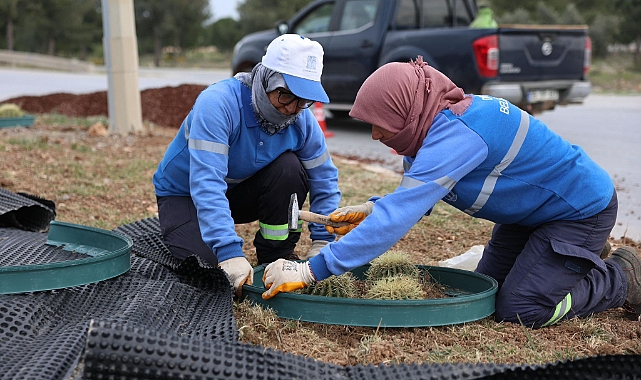 Didim Belediyesi, Didim’e Çıkan Yolları Daha Da Güzelleştiriyor