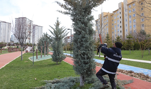 Kent Köy Yaşam Alanı’nda Kapsamlı Çalışmalar Yapıldı