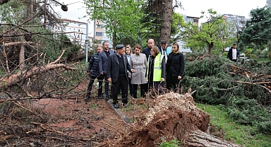 Başkan Şahin Çalışmaları Yerinde Takip Etti