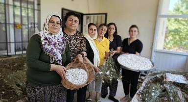 Hekimhan'lı Kadınlar İpek Böceği Yetiştiriciliğine Yöneldi