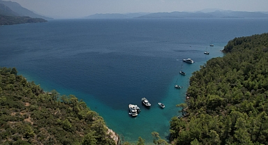 Muğla’nın Doğası İçin 288 Hukuki Mücadele
