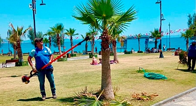 Didim Belediyesi Ekipleri Sahada