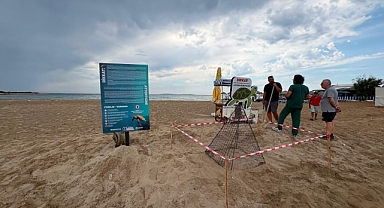 Didim Belediyesi Ekiplerinin Zamanında Müdahalesi Caretta Carettayı Kurtardı
