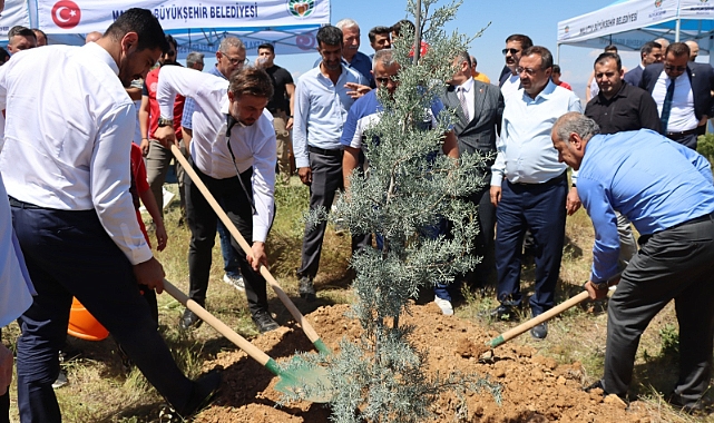 Türkiye Güreş Federasyonu Hatıra Ormanı’nda Fidanlar Toprakla Buluştu