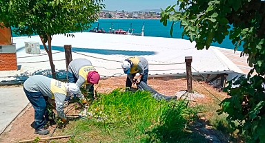 Üretimden Halkın Sofrasına